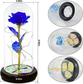 img 1 attached to Enchanting Beauty and The Beast Rose: Perfect Christmas Gift for Her, Mesmerizing Glass Flower Roses, Captivating Galaxy Flower Rose Gifts for Girlfriend - The Ultimate Birthday Surprise for Women, Mom, or Wedding Present