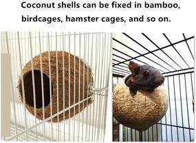 img 2 attached to 🐦 Hypeety Bird Breeding Nest: Hamster Coconut House with Swing, Ladder, and Toys for Parrot, Parakeets, Finches, Lovebirds, Sparrows - Natural Coconut Shell Hanging Swing Perch