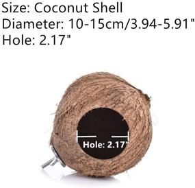 img 3 attached to 🐦 Hypeety Bird Breeding Nest: Hamster Coconut House with Swing, Ladder, and Toys for Parrot, Parakeets, Finches, Lovebirds, Sparrows - Natural Coconut Shell Hanging Swing Perch