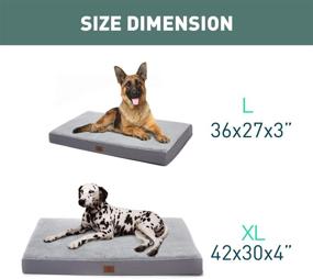 img 2 attached to 🛏️ Eterish Grey Orthopedic Dog Bed - Medium & Large Dogs, Egg-Crate Foam Pet Bed with Removable Cover, Machine Washable