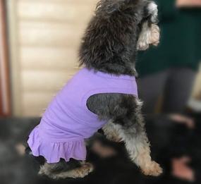 img 2 attached to 👗 2019 Lovelonglong Dog Dress Sports Tee-Dresses Tanks Top for Miniature Small Size Female Dogs - 100% Cotton, Available in 18 Colors