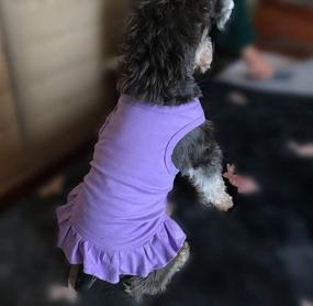 img 1 attached to 👗 2019 Lovelonglong Dog Dress Sports Tee-Dresses Tanks Top for Miniature Small Size Female Dogs - 100% Cotton, Available in 18 Colors