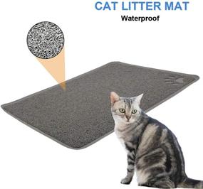 img 3 attached to 🐾 Grey-One Entry Cat Starter Kit 4 Pack for Small Cats Within 5 Months: Cat Open Top Litter Box with Lid, Litter Mat, Poop Lifter Scoop & Stainless Steel Feeding Dish Bowl