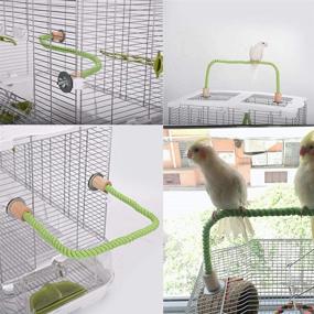 img 2 attached to 🐦 QBLEEV Bird Cage Rope Stands - Conure Parrot Perches, Swing Toys, and Play Set - Birdcage Playground Play Gym Accessories for Parakeet, Cockatiels, Lovebirds, African Grey (Cage not Included)