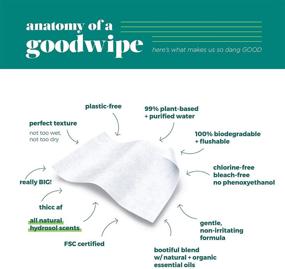 img 1 attached to 🧻 Goodwipes Flushable & Biodegradable Wipes with Botanicals: Safe, Dispenser for At-Home Use, Shea-Coco with Aloe, Septic & Sewer Safe (3 packs, 180 count) - Never Dries Out