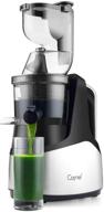 🍏 caynel vertical slow masticating juicer - cold press extractor with 3" wide chute for high yield fruits, vegetables, and herbs, quiet durable motor with reverse function, easy cleaning логотип