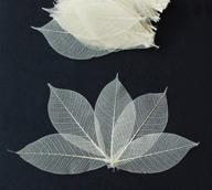 100 natural color skeleton leaves rubber tree - ideal for diy card making, scrapbooking, and wedding crafts logo