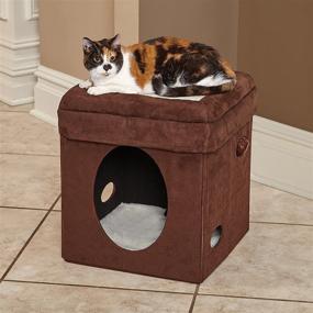 img 3 attached to 🐱 Unleash Your Cat's Curiosity with the MidWest Cat Cube: The Ultimate Cat House and Condo