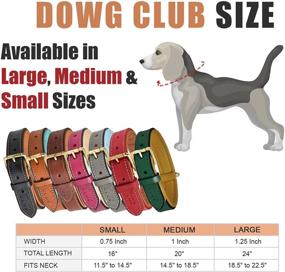 img 1 attached to DowgClub Full Grain Genuine Leather Dog Collar: Heavy Duty, Comfortable, Strong - Ideal for Pups, Small, Medium & Large Breeds in Brown, Pink, Black, Tan