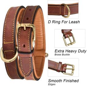 img 2 attached to DowgClub Full Grain Genuine Leather Dog Collar: Heavy Duty, Comfortable, Strong - Ideal for Pups, Small, Medium & Large Breeds in Brown, Pink, Black, Tan