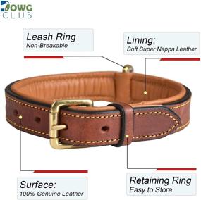 img 3 attached to DowgClub Full Grain Genuine Leather Dog Collar: Heavy Duty, Comfortable, Strong - Ideal for Pups, Small, Medium & Large Breeds in Brown, Pink, Black, Tan