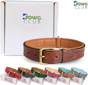 img 4 attached to DowgClub Full Grain Genuine Leather Dog Collar: Heavy Duty, Comfortable, Strong - Ideal for Pups, Small, Medium & Large Breeds in Brown, Pink, Black, Tan