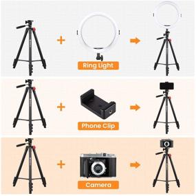 img 1 attached to TARION Selfie Ring Light With Tripod Stand 11 Inch LED Ring Light Studio Lighting Kit Dimmable USB Beauty Ring Light For Phone Live Stream Video Portraits Photography Compatible With IPhone &Amp