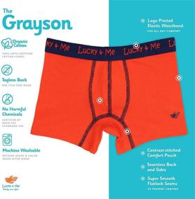 img 3 attached to Organic Cotton Boys Underwear - Lucky & Me Grayson Boxer Briefs, Tagless, 3 Pack