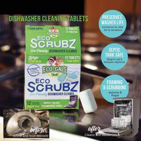 img 2 attached to 🧼 Eco-Gals Eco Scrubz Deep Dishwasher Machine Cleaner, 12 Count Tablets - Unscented, 1 Year Supply - Effective Cleaning Solution