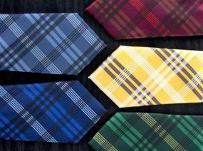 img 1 attached to Stylish Plaid Woven Zipper Necktie Accessories for Boys - Spring Notion Collection