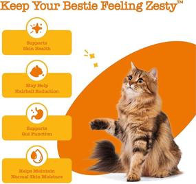 img 3 attached to Zesty Paws Hairball Control Bites for Cats - Functional Supplement with Omega 3 Fish Oil EPA & DHA + Mineral Oil, Zinc, Biotin & Psyllium Husk - Supports Gut & Skin Health - 60 Count