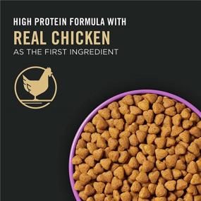 img 2 attached to 🐶 Purina Pro Plan Sport - High-Protein 30/20 Dry & Wet Dog Food, Boosts Energy and Vitality (Packaging Variations)