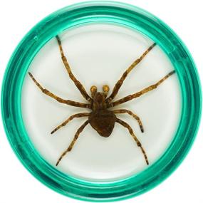 img 3 attached to 🕷️ Experience Spine-Chilling Fun with Razor Pocket Yo Yo Creeper Spider