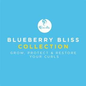 img 1 attached to Curls Blueberry Bliss Reperative Hair