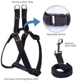 img 2 attached to Premium Dog Collar and Leash Set: Adjustable Harness, Heavy Duty Nylon, Denim Design, Ideal for Walking and Dog Training