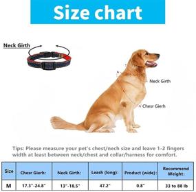 img 3 attached to Premium Dog Collar and Leash Set: Adjustable Harness, Heavy Duty Nylon, Denim Design, Ideal for Walking and Dog Training