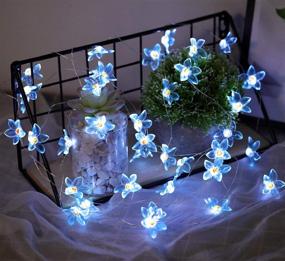 img 1 attached to 🌸 Enhance Your Home Decor with Joyathome Flower String Lights: 19 Ft 40 LED Weatherproof USB Operated Fairy Lights in Cool White - Perfect for Holiday Weddings, Bedrooms, and Parties (Blue)