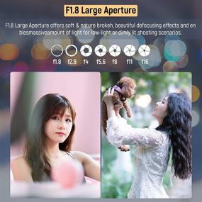 img 2 attached to 📸 VILTROX 85mm F1.8 Mark II STM Lens: Auto Focus, Large Aperture Telephoto Portrait Lens for Fuji X-Mount Cameras