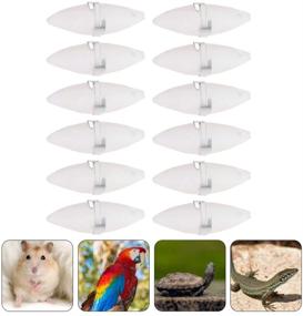 img 1 attached to 🐦 12-Pack Bird Cuttlebone for Parakeets - Natural Cuttle Bone with Metal Holder - Chewing Cuttlefish Bone for Sharp Beaks - Natural Bird Calcium for Parrot Cockatiels Budgie Conures - TEHAUX