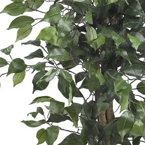 img 1 attached to 🌿 Впечатляющие 3-футовые Ficus Silk Artificial Trees - реалистичное зеленое украшение 36 дюймов