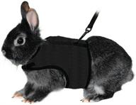 rabbit kitten harness adjustable walking logo