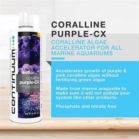 img 3 attached to Continuum Aquatics ACO30676 Coralline 16 9 Ounce