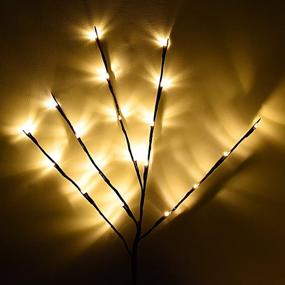 img 2 attached to 🌿 Enhance your Home Décor with the 4PACK Aokely LED Branch Lights - Battery Powered Willow Branches Lamp for Warm White Ambiance - Perfect for Parties and Holidays