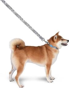 img 2 attached to 🐶 Friends TV Show City Doodle Dog Leash: Stylish and Functional Dog Harness Attachment