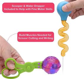 img 3 attached to 🔍 Non-Toxic MarvelBeads Sensory Scoops Tweezers for Enhanced Sensory Play and Learning