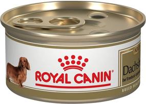 img 3 attached to 🐾 Optimized Breed Health Nutrition Dachshund Wet Dog Food by Royal Canin