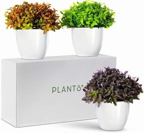 img 4 attached to 🌱 Artificial Indoor House Desk Office Plant Decoration - Lifelike Plastic Flower with White Pot, Set of 3 - Spring Bloom