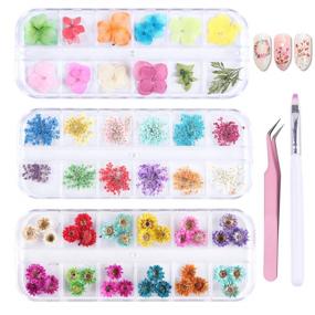 img 4 attached to PHAETON Flowers Stickers Manicure Tweezers