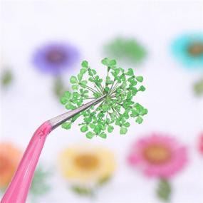 img 3 attached to PHAETON Flowers Stickers Manicure Tweezers