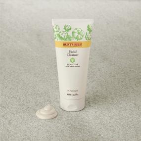 img 2 attached to Очищающее средство для лица Burt's Bees для чувствительной кожи - натуральное моющее средство для лица, 6 унций (упаковка может отличаться)