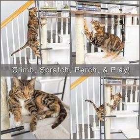 img 3 attached to 🐱 PetFusion VersiCLimb Cat Climber - Multi-Purpose Furniture with Tall Scratching Post, Cat Hammock, and Multi-Level Scratcher - Ideal for Pet Storage, Displaying Pictures & Books - 1 Year Warranty