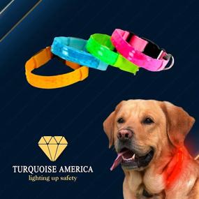 img 1 attached to TURQUOISE AMERICA LED Dog Collar: Illuminate and Safeguard Your Dog with this Rechargeable LED Glow Pet Collar!