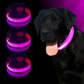 img 3 attached to TURQUOISE AMERICA LED Dog Collar: Illuminate and Safeguard Your Dog with this Rechargeable LED Glow Pet Collar!