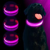 turquoise america led dog collar: illuminate and safeguard your dog with this rechargeable led glow pet collar! logo