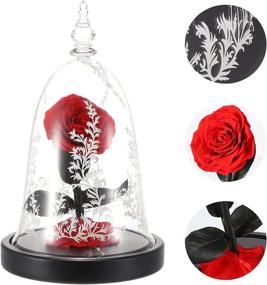 img 2 attached to DDSXY Handmade Beauty and The Beast Enchanted Rose in Glass Dome, LED Light on Wood Base, 100% Real Rose for Christmas Valentine's Day, Red