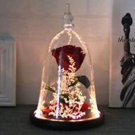 ddsxy handmade beauty and the beast enchanted rose in glass dome, led light on wood base, 100% real rose for christmas valentine's day, red logo