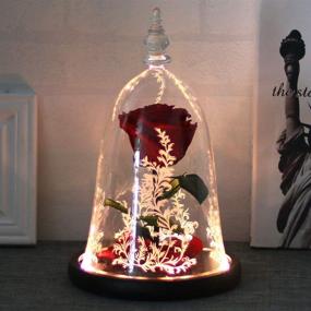 img 4 attached to DDSXY Handmade Beauty and The Beast Enchanted Rose in Glass Dome, LED Light on Wood Base, 100% Real Rose for Christmas Valentine's Day, Red