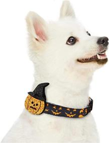 img 2 attached to 🐾 Versatile Seasonal Dog Collar – Adjustable Nylon Collar for Halloween, Thanksgiving, and Christmas – Ideal Gift for Small, Medium & Large Pets with Quick Snap Buckle