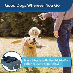 img 3 attached to 🐶 Petsafe Add-A-Dog Remote Training Collar: Ideal for Small, Medium, and Large Dogs – Tone, Vibration, or 15 Levels of Static Stimulation – Waterproof & Durable