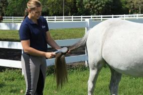 img 2 attached to 🐴 Efficient Mane and Tail Grooming with Oster ECS Brush